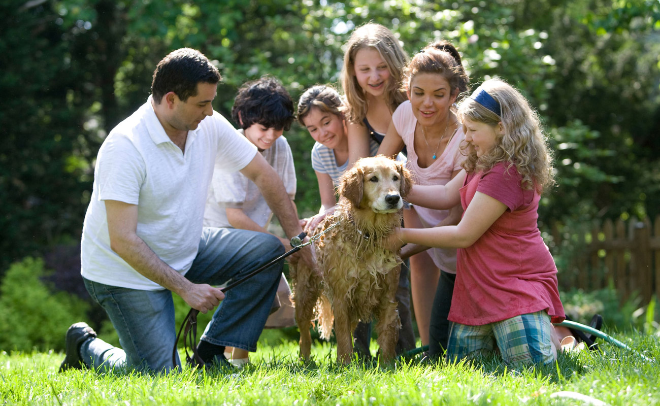 family pippin